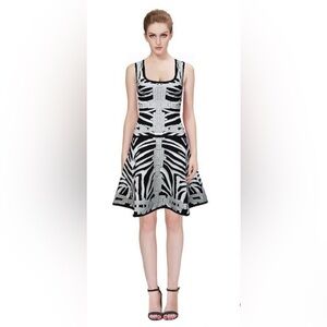 Rare! ($1550USD) Herve Leger Black/Gray/Silver Miranda Zebra Print Dress